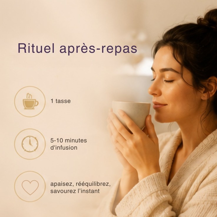 Tisane bio sans caféine Énergie du feu, 16 sachets de 2 g