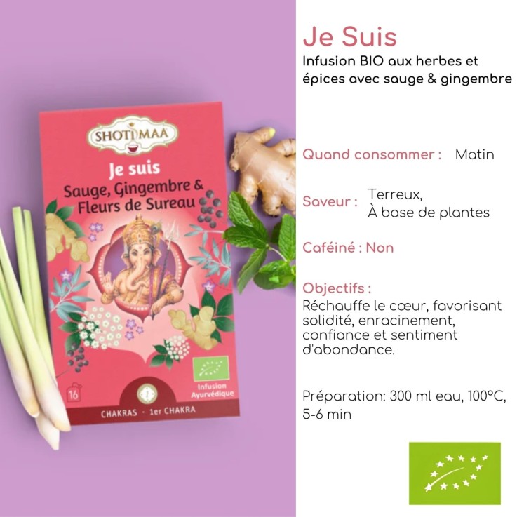 Coffret de 4 tisanes bio détox sans caféine