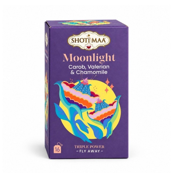 Tisane bio sans thé ni caféine Bonne Nuit