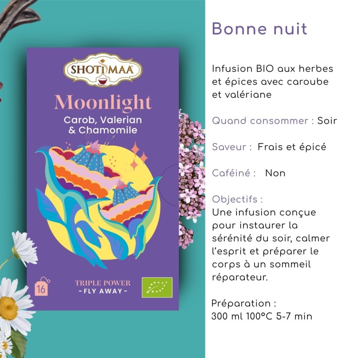 Tisane bio sans thé ni caféine Bonne Nuit