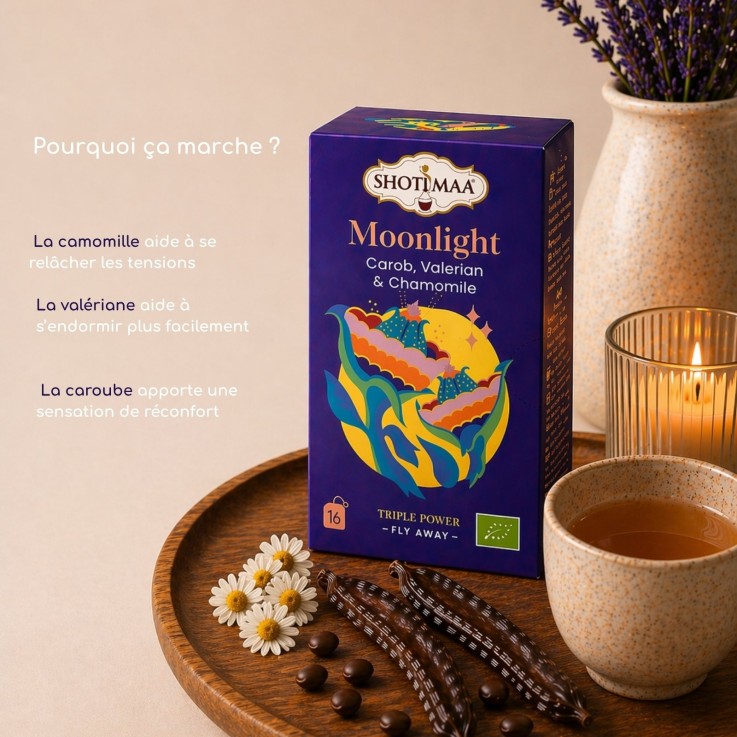 Tisane bio sans thé ni caféine Bonne Nuit