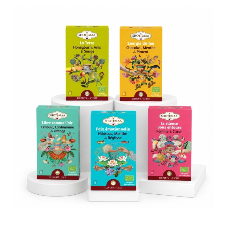 Set de 5 tisanes biologiques esprit en voyage