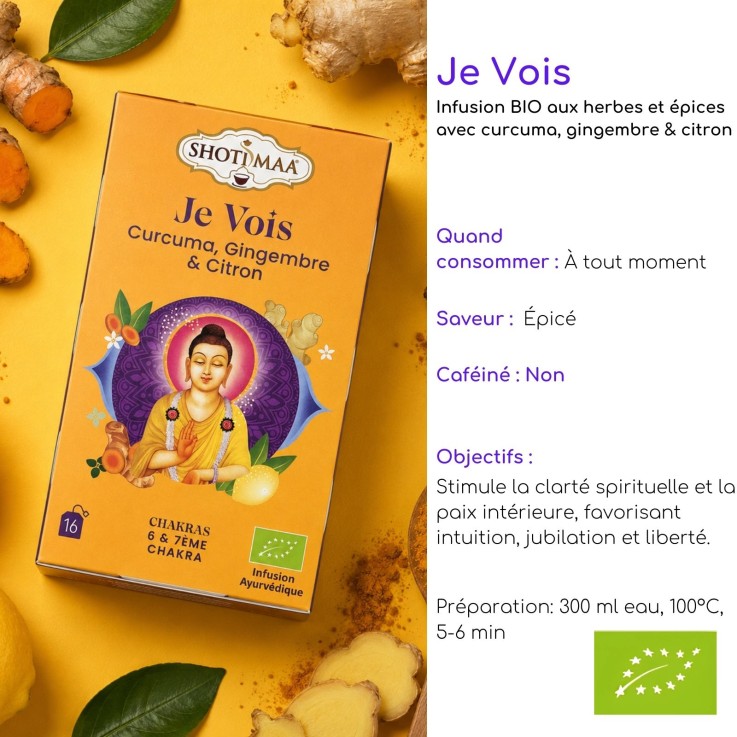 Tisane bio Je vois, curcuma et gingembre, 16 sachets, 32 g