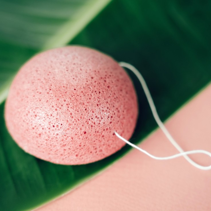 Éponge konjac pour le visage à l’aloe vera