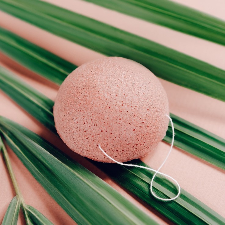 Éponge konjac pour le visage à l’aloe vera