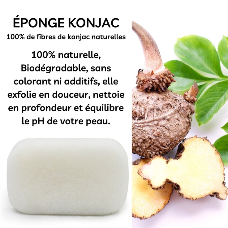 Éponge konjac visage classique - fibre végétale
