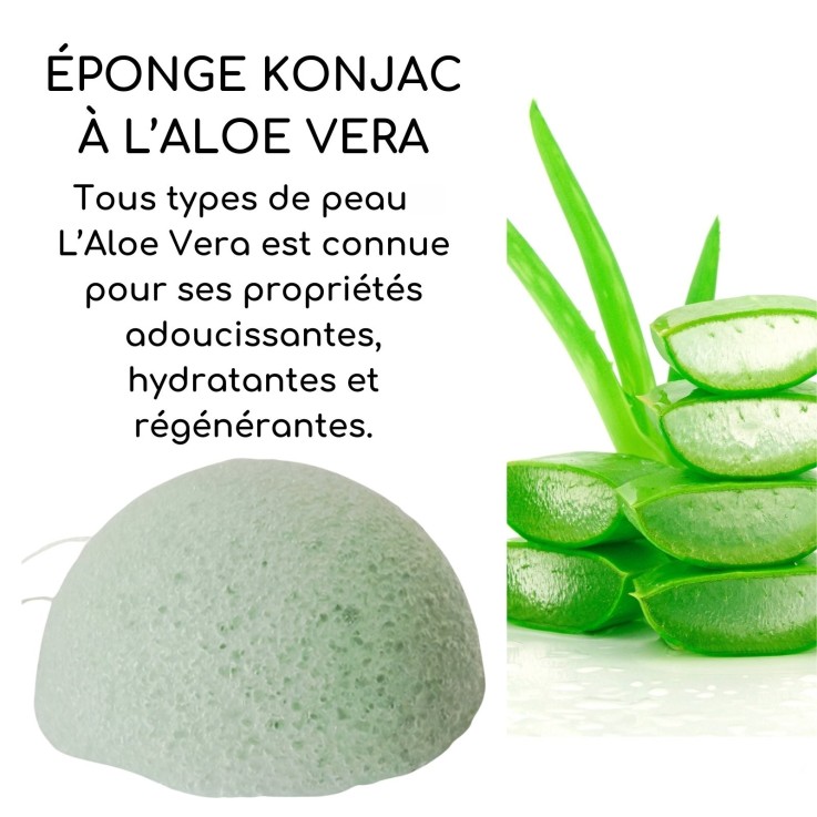 Éponge konjac XL pour le corps au charbon de bambou