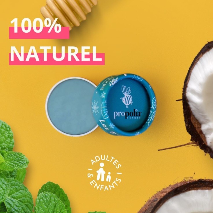 Baume à lèvres Menthe 100% naturel (6g)