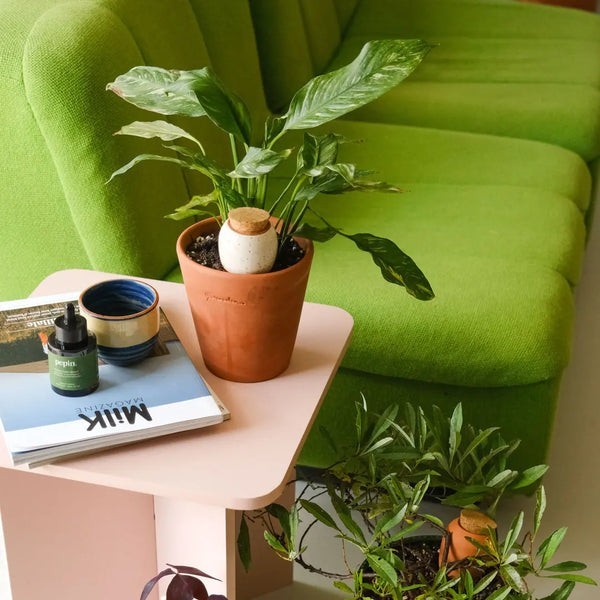 Trio Ollas Naturelles Mini Diffuseurs d'eau pour plantes