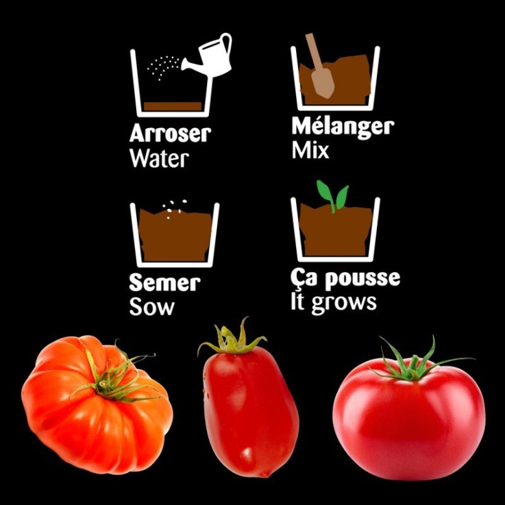 Plateau trio pots zinc - Tomates bio