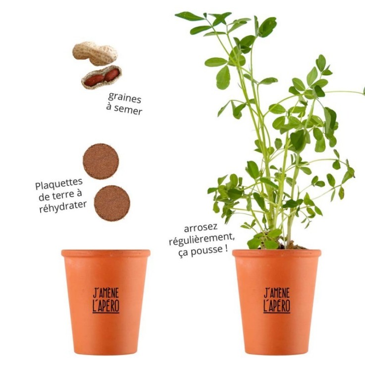 Kit de plantation "J'amène l'apéro" - Cacahuètes à semer
