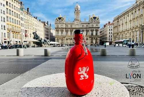 Gourde Concave Lyon en Aluminium recyclé (1L)