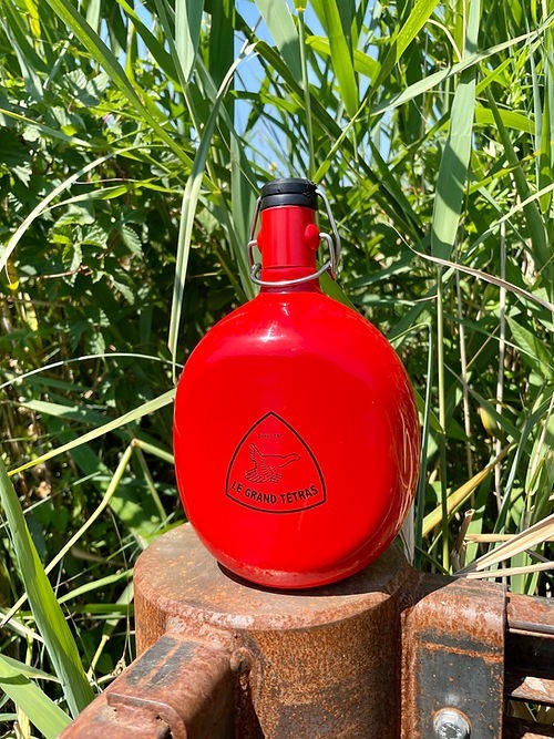 Gourde Ovale en Aluminium recyclé (1L)