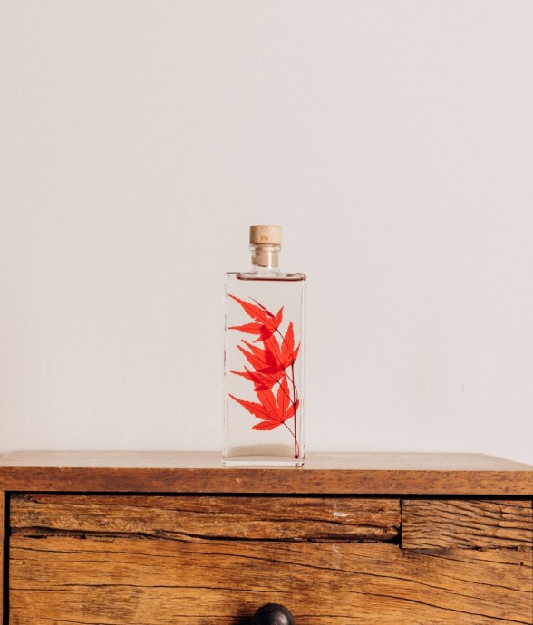 Herbarium fait main Plante...