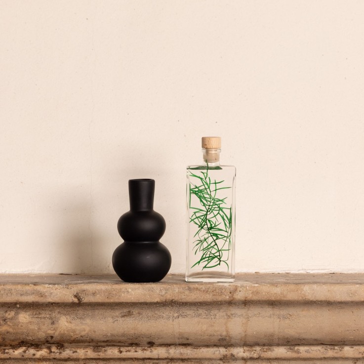 Herbarium fait main Plante Naturelle immergée Asparagus sprengeri