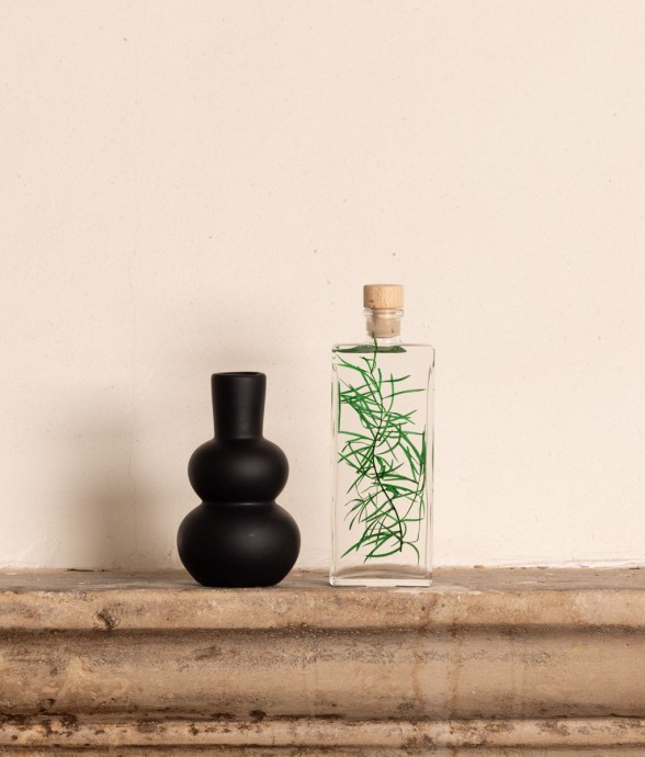 Herbarium fait main Plante...