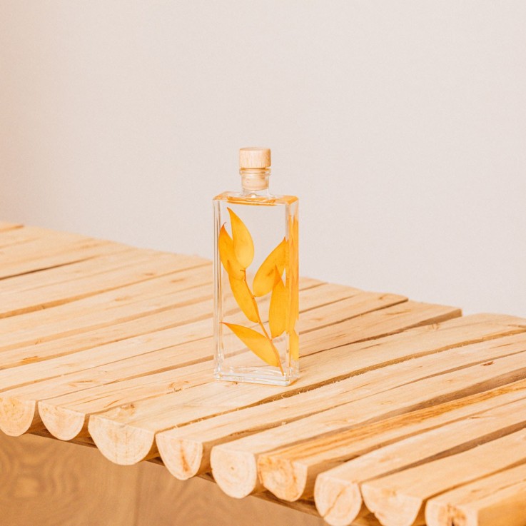 Herbarium fait main Plante Naturelle immergée Ruscus