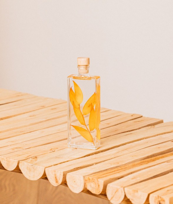 Herbarium fait main Plante...