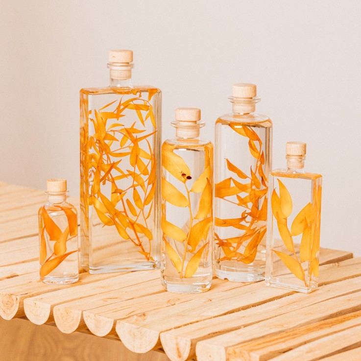 Herbarium fait main Plante Naturelle immergée Ruscus