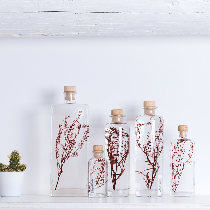 Herbarium fait main Plante Naturelle immergée Lepidium