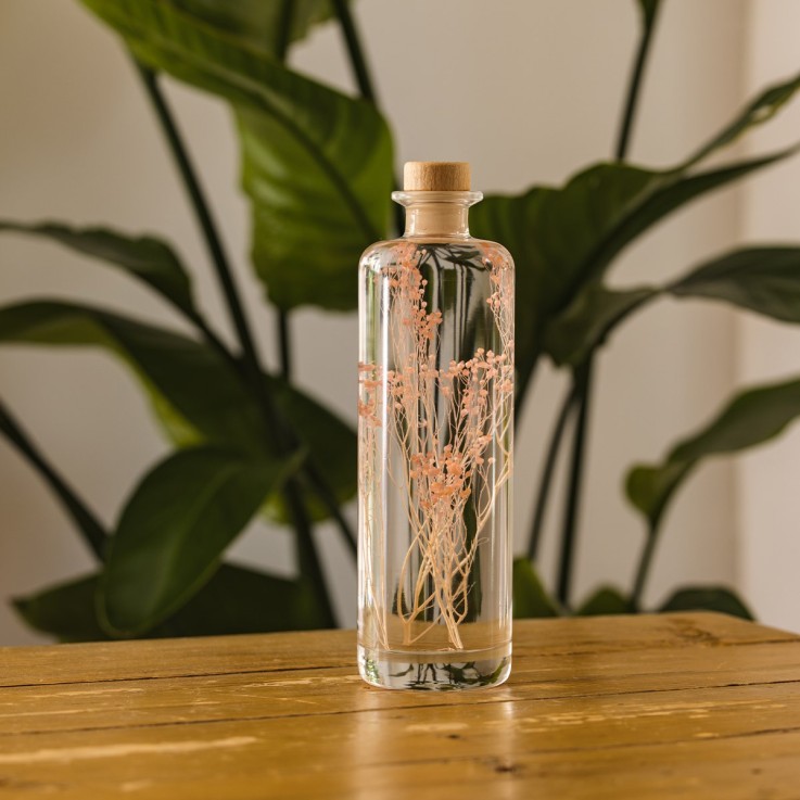 Herbarium fait main Plante Naturelle immergée Broom