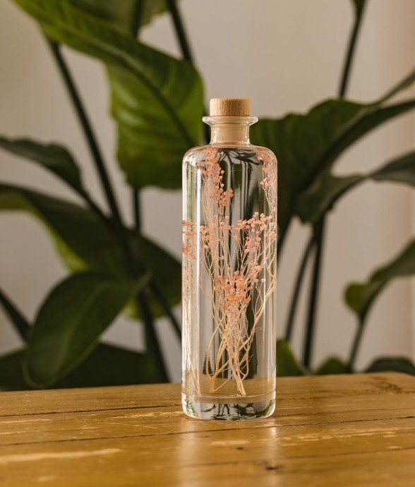 Herbarium fait main Plante...