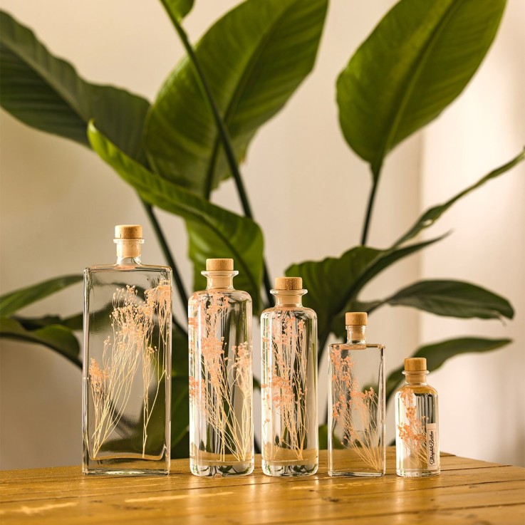 Herbarium fait main Plante Naturelle immergée Broom