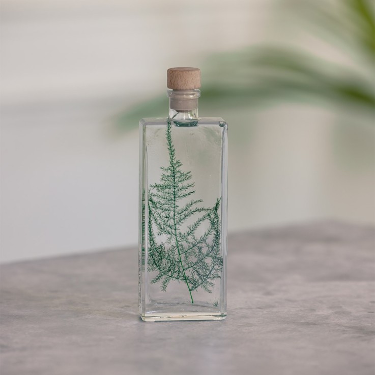 Herbarium fait main Plante Naturelle immergée Asparagus plumosus