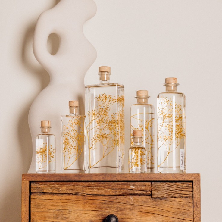 Herbarium fait main Plante Naturelle immergée Gypsophile