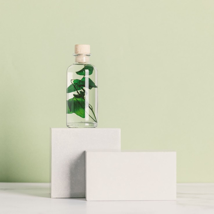 Herbarium fait main Plante Natrurelle immergée Lierre helix
