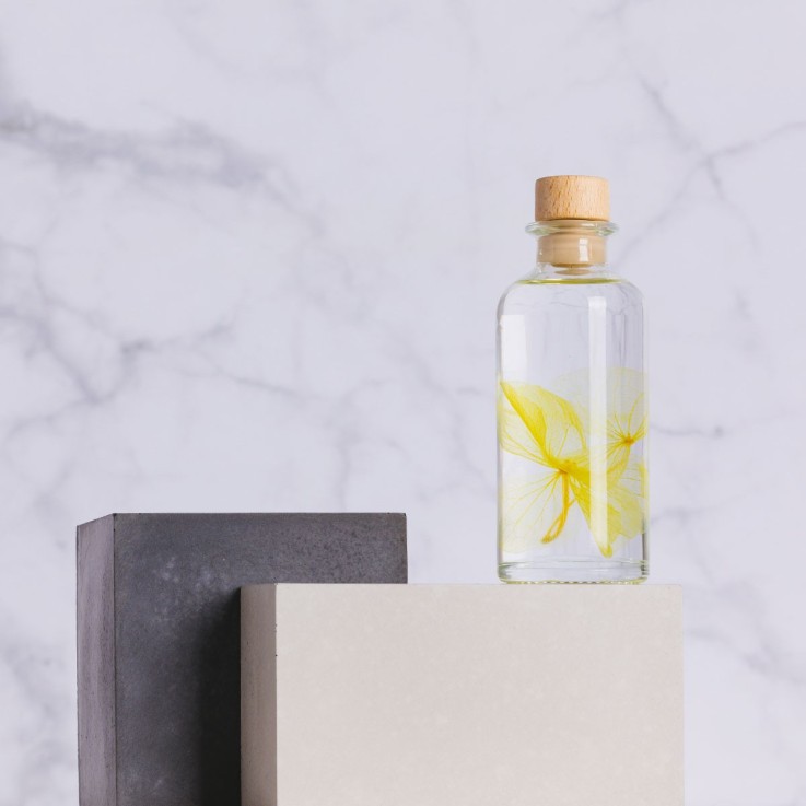 Herbarium fait main Fleur Naturelle immergée Hortensia