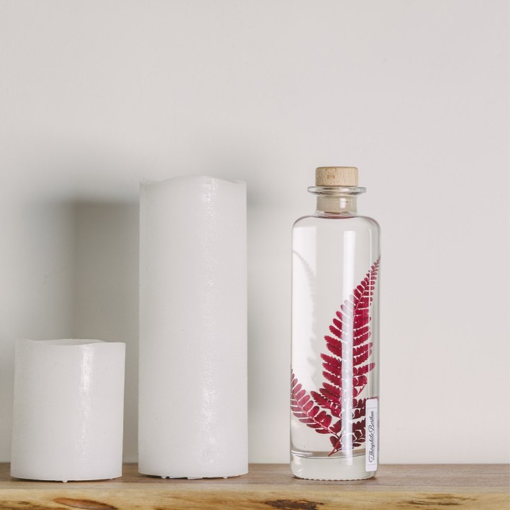 Herbarium fait main Plante Naturelle immergée Rumohra