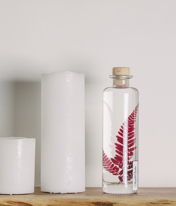 Herbarium fait main Plante...