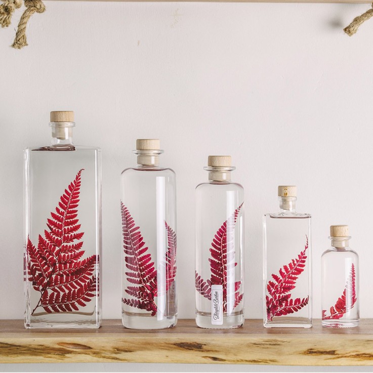 Herbarium fait main Plante Naturelle immergée Rumohra