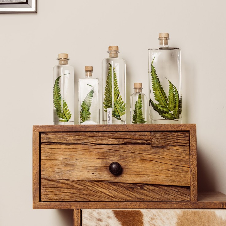 Herbarium fait main Plante Naturelle immergée Argyrea