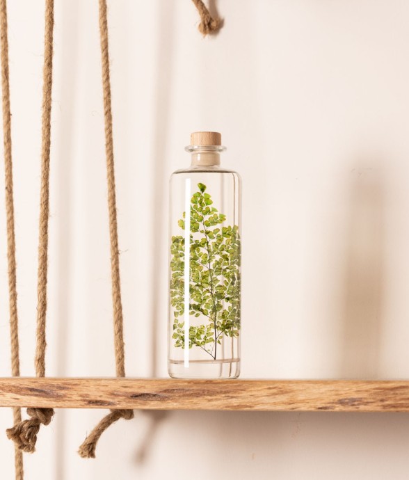 Herbarium fait main Plante...