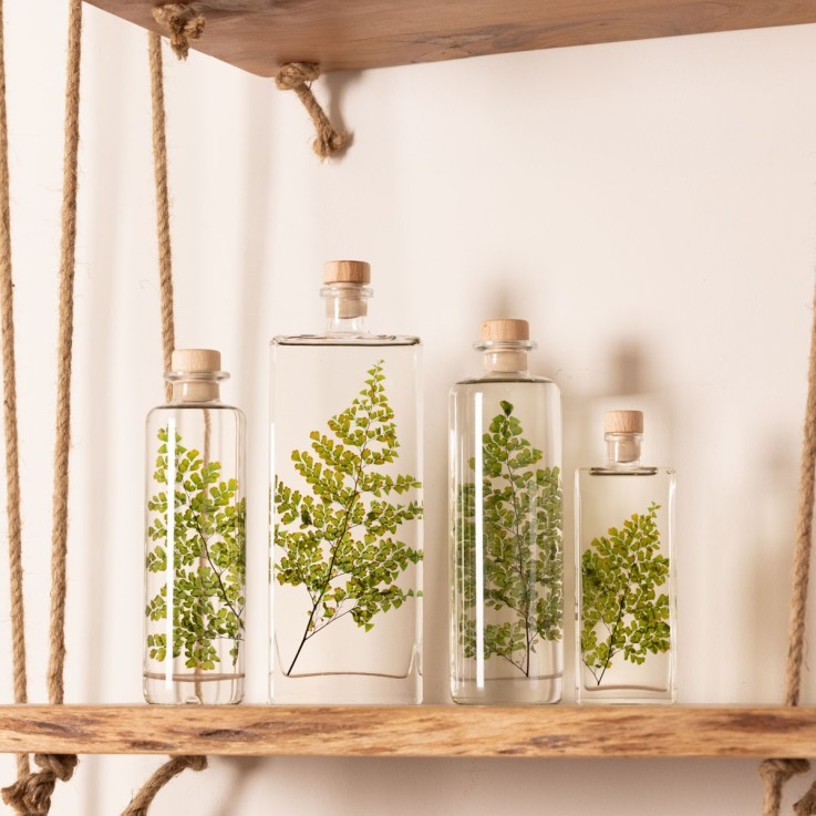 Herbarium fait main Plante Naturelle immergée Fougère Luthi