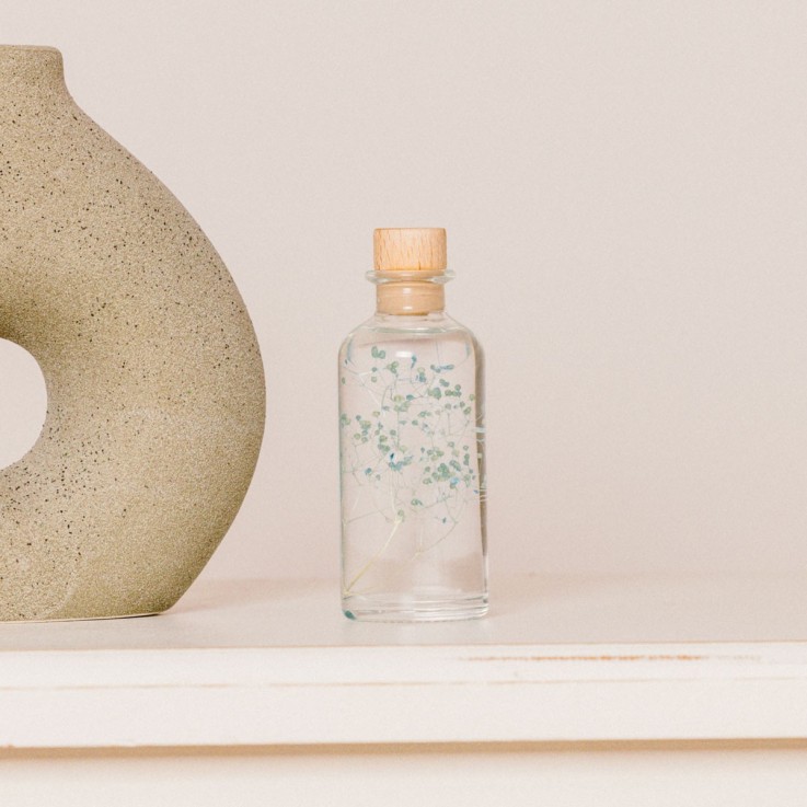 Herbarium fait main Plante Naturelle immergée Gypsophile