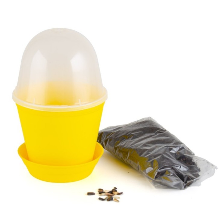 Pot en cloche - Tournesol bio