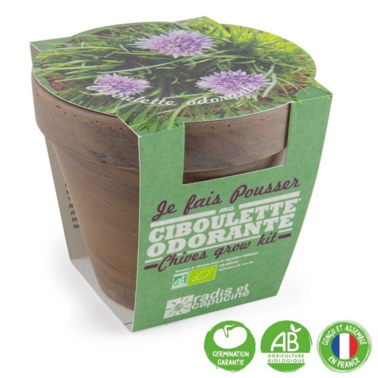 Pot Terre cuite Basalte 13cm Ciboulette bio