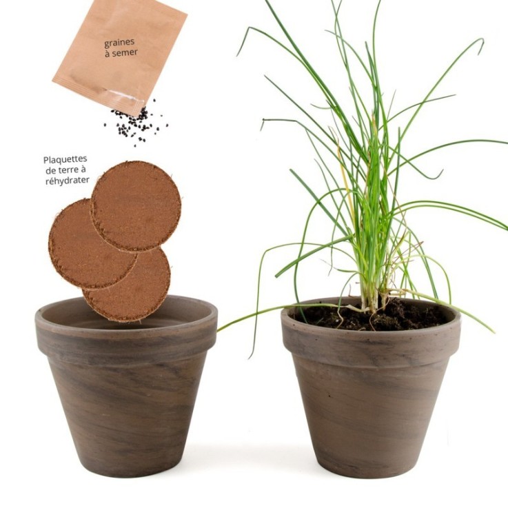 Pot Terre cuite Basalte 13cm Ciboulette bio
