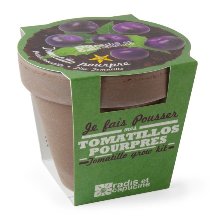 Pot Terre cuite Basalte 13cm - Tomates violettes