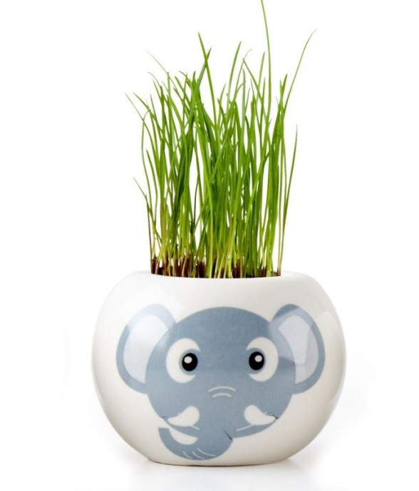 Kit céramique Elephant