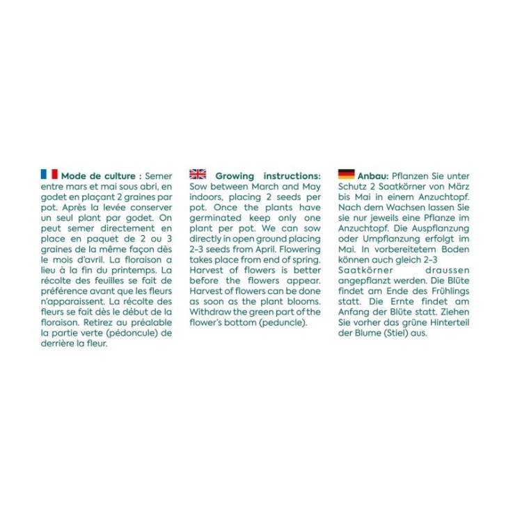 Sachet graines fleurs comestibles - Bourrache