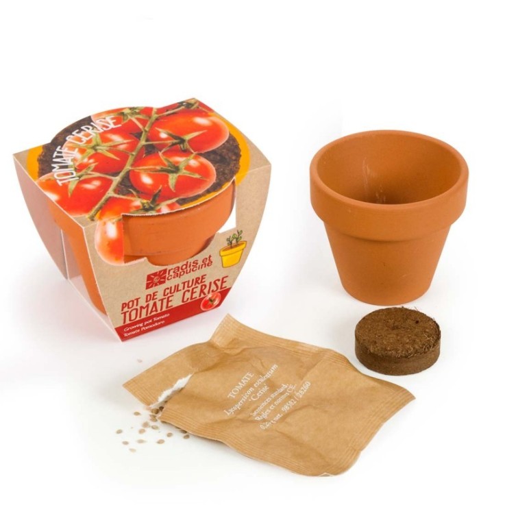 Graines de Tomate Cerise à semer en pot terre cuite Bio