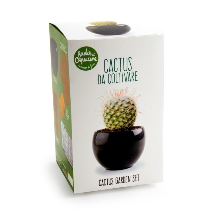 Garden set - Cactus zen