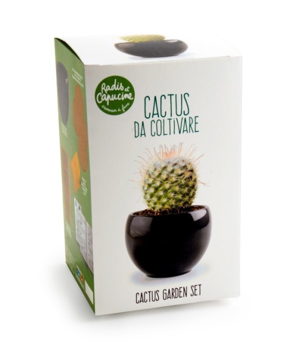 Garden set - Cactus zen