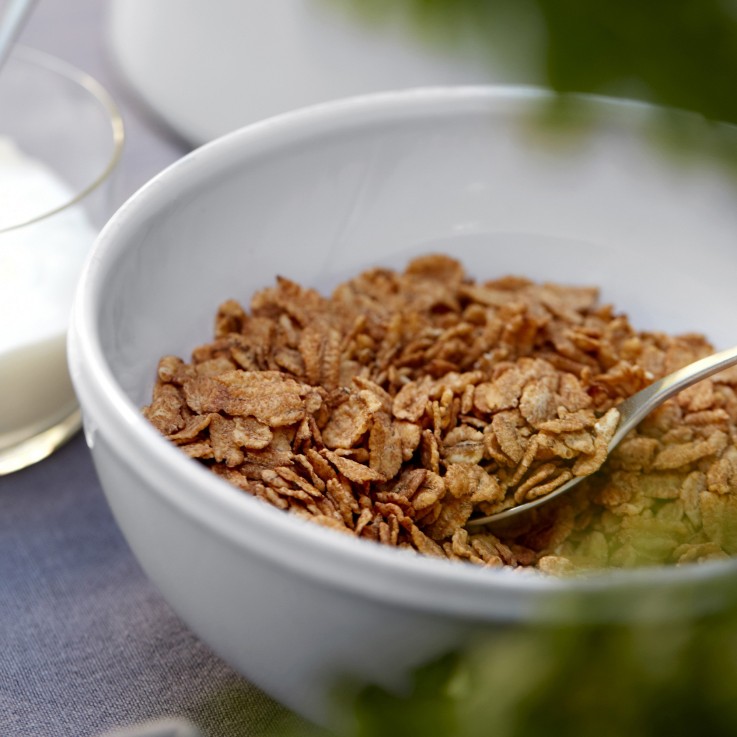 Bol à Soupe Céréales Friso en grès