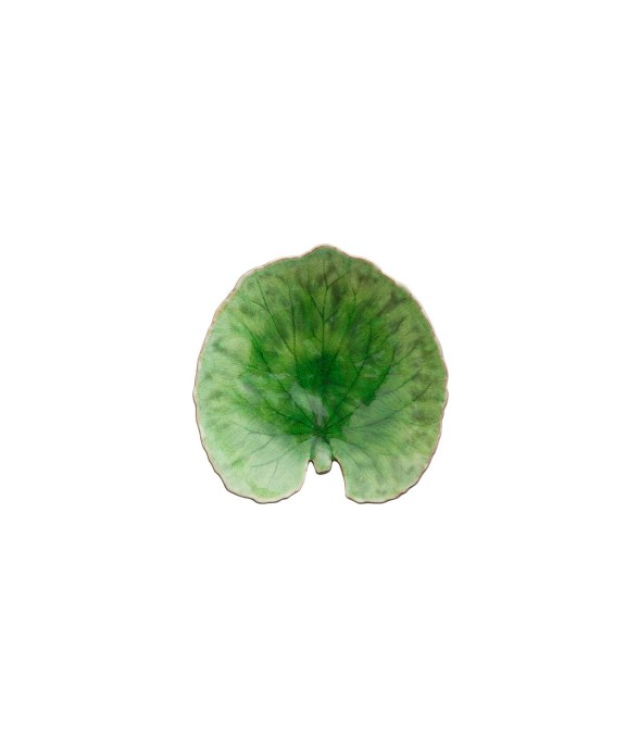 Feuille Alchémille Riviera