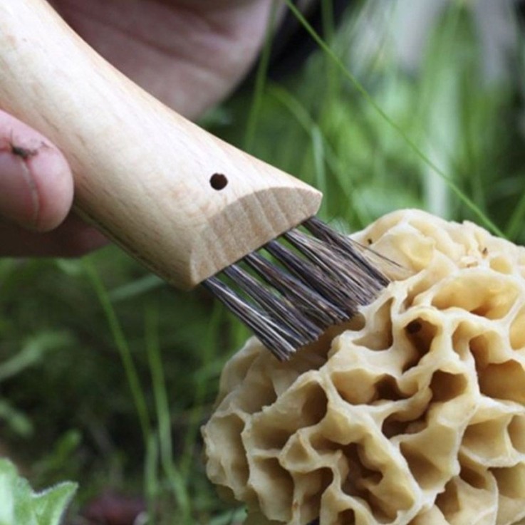 2 couteaux à champignon Opinel 8 cm
